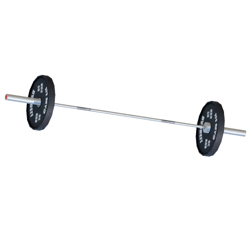 Loaded Barbell in Big Ambitions